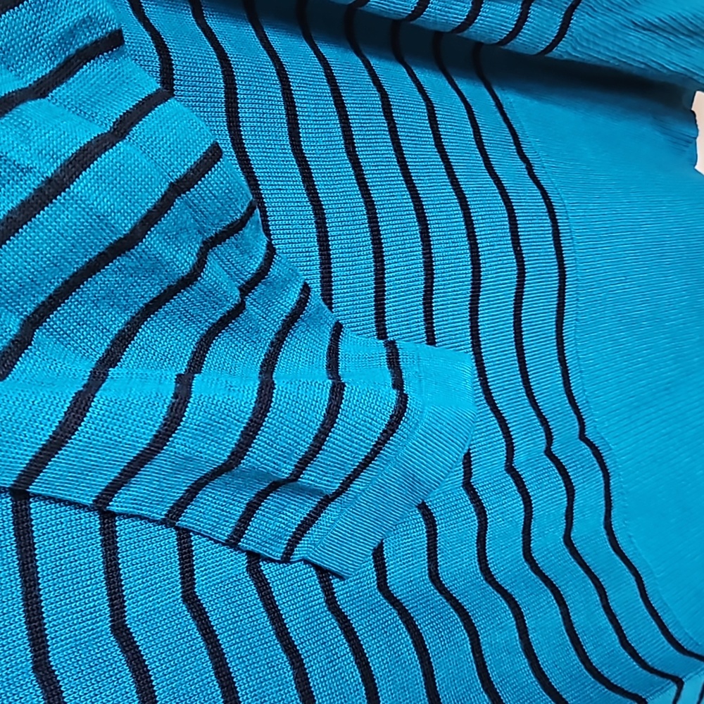 White House Black Market Women's Size Large Top NWT Stripes Teal - Picture 5 of 6